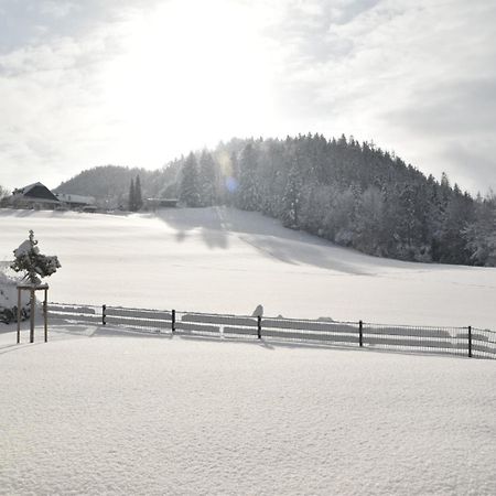 Apartamento Pureescape Faistenau Exterior foto